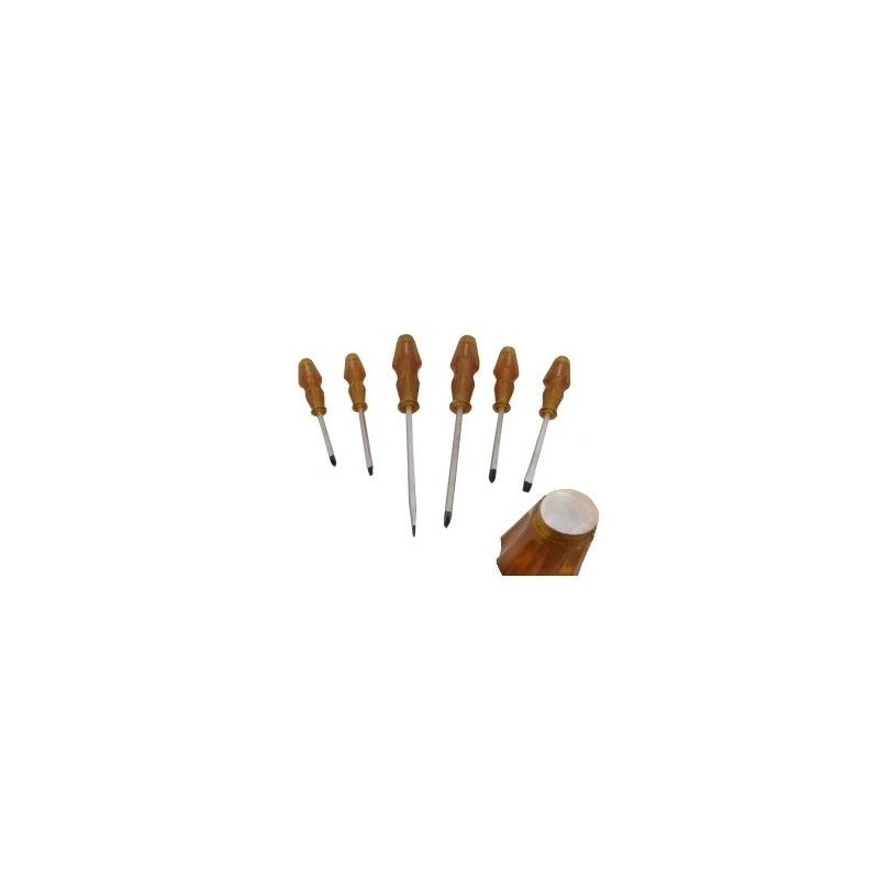 Set cacciaviti/giraviti a taglio e croce 6 pezzi cromo vanadio