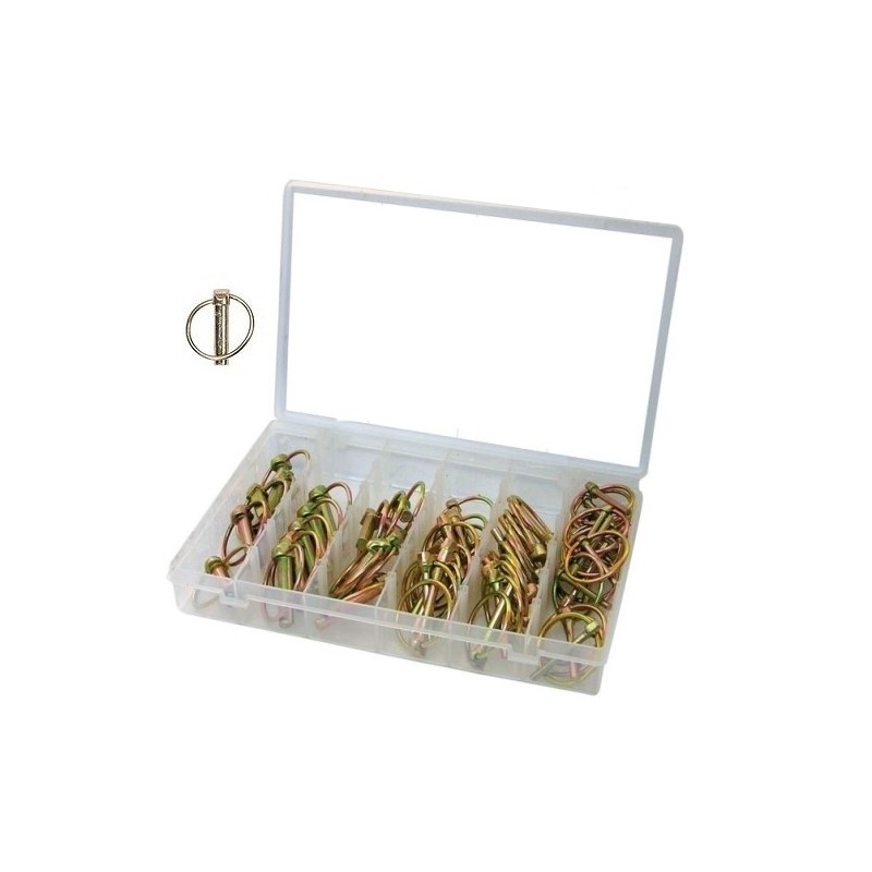 Assortimento Spine a scatto/Coppiglie ad anello/Perni/Spinotto 50 pezzi in valigetta